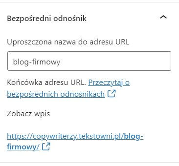 Teksty pod SEO - screen pokazujący, jak ustawić slug