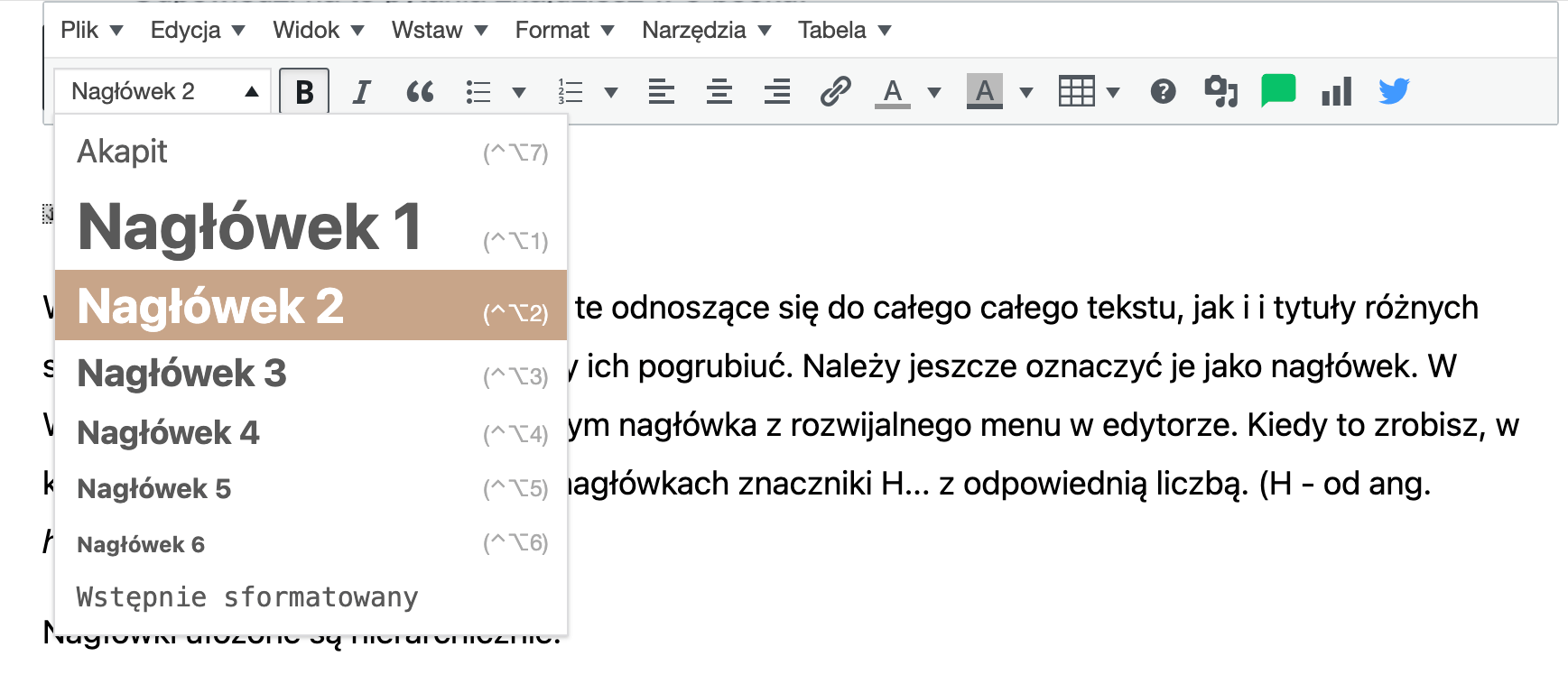 Sposób oznaczania nagłówków w SEO copywritingu - screen z WordPressa.